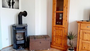 A room with a wood-burning stove, a cabinet with glass doors, a suitcase, and a potted plant.