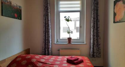 Vacation apartment at the Stadtpark_Rosenblüte - Ferienwohnungen am Stadtpark