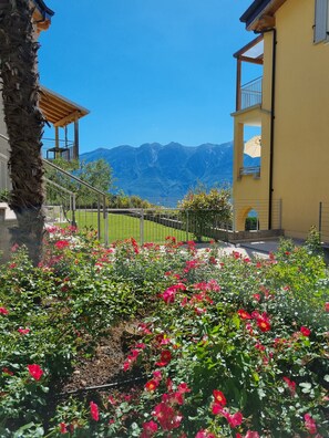 Parco della struttura