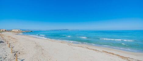 بالقرب من الشاطئ