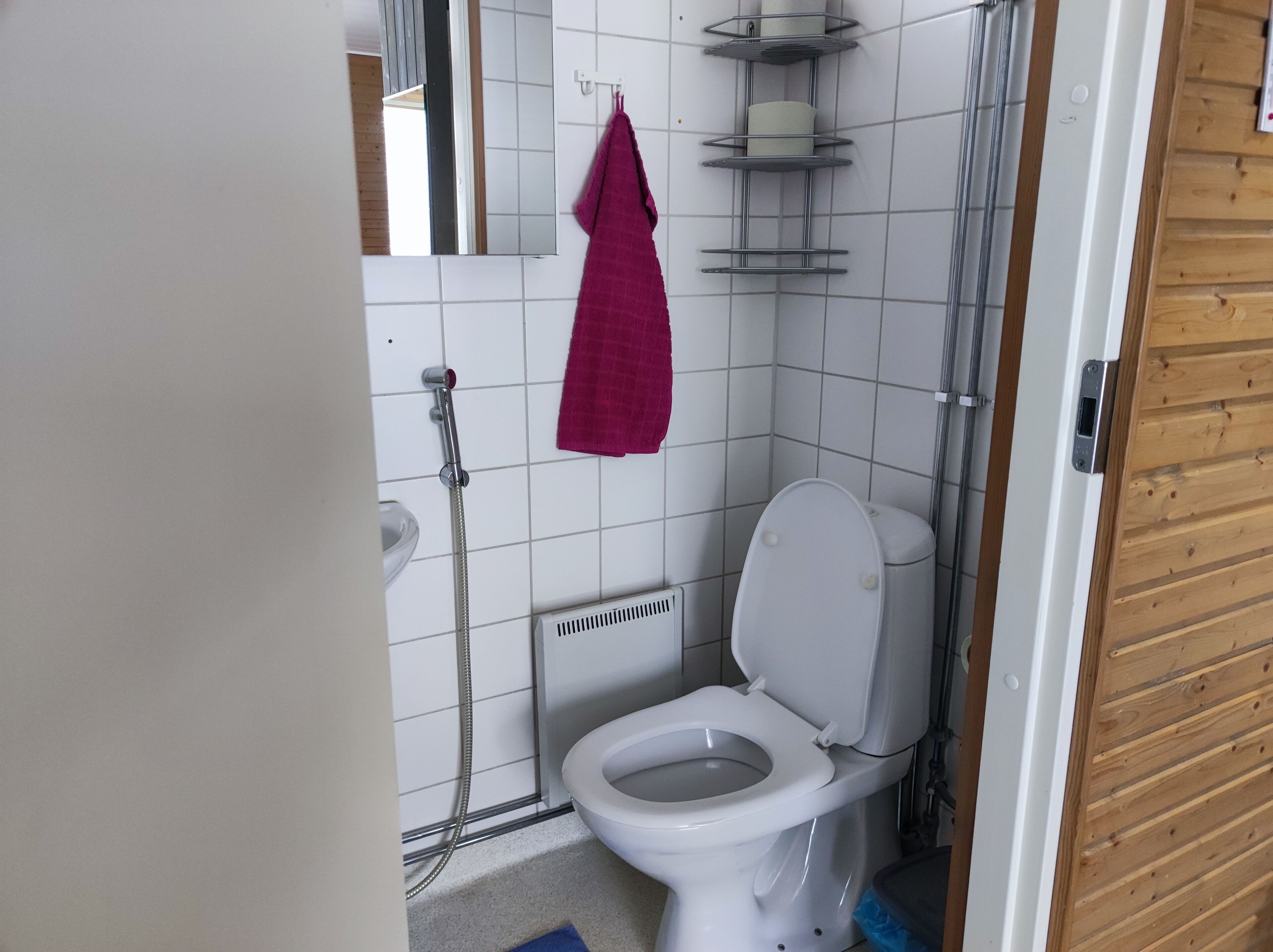 A small bathroom with a toilet, a shower, and a mirror.