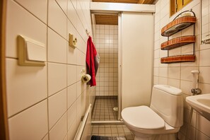 Une petite salle de bain comprenant des toilettes, une douche et un lavabo.