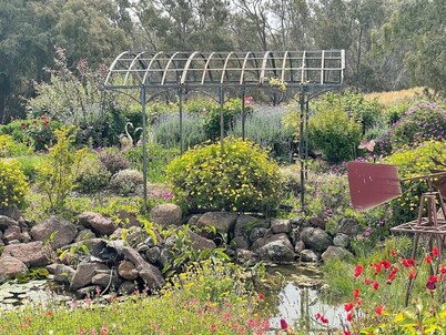 River Gardens Axedale Pet friendly B & B Farm stay - Motel Room