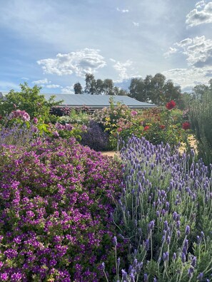 Un jardín con diversas flores y un edificio al fondo.