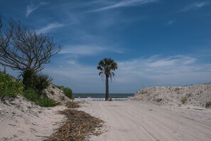Un sentier de sable qui longe la plage et mène à l’océan, avec un palmier et une végétation clairsemée.