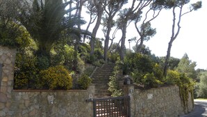 Un escalier en pierre mène à un bâtiment doté d’une grille en métal, le tout étant entouré d’une végétation luxuriante et d’arbres.