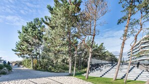 A pathway leading to a building with a staircase and trees.