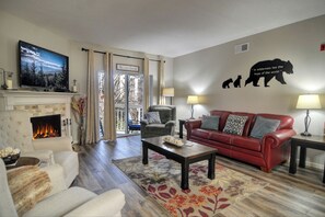 TV, fireplace, DVD player, video library