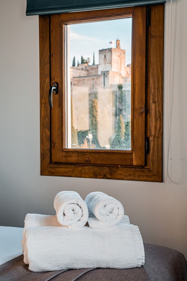 Vista desde la propiedad