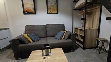 Un espacio habitable pequeño con un sofá gris, una mesa de centro de madera y una estantería.