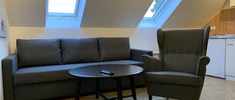 A modern living room with a sofa, armchair, and round table. There are skylights above the sofa and armchair, allowing natural light.