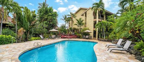 A swimming pool with stone tiles, surrounded by palm trees and lounge chairs.