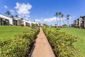 A pathway leading to a hotel with multiple-story buildings, surrounded by well-maintained lawns and palm trees.