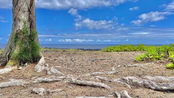 Nhà, 2 phòng ngủ | Bãi biển
