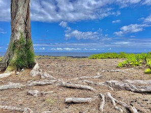 Maison, 2 chambres | Plage