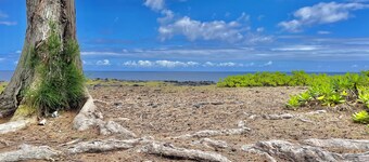 Hale Honu 2 Bedroom Home by RedAwning