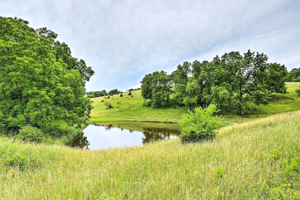 A tranquil landscape with a pond, lush greenery, and rolling hills.