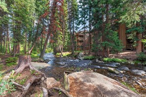 Une cabane entourée d’une forêt, traversée par un ruisseau.