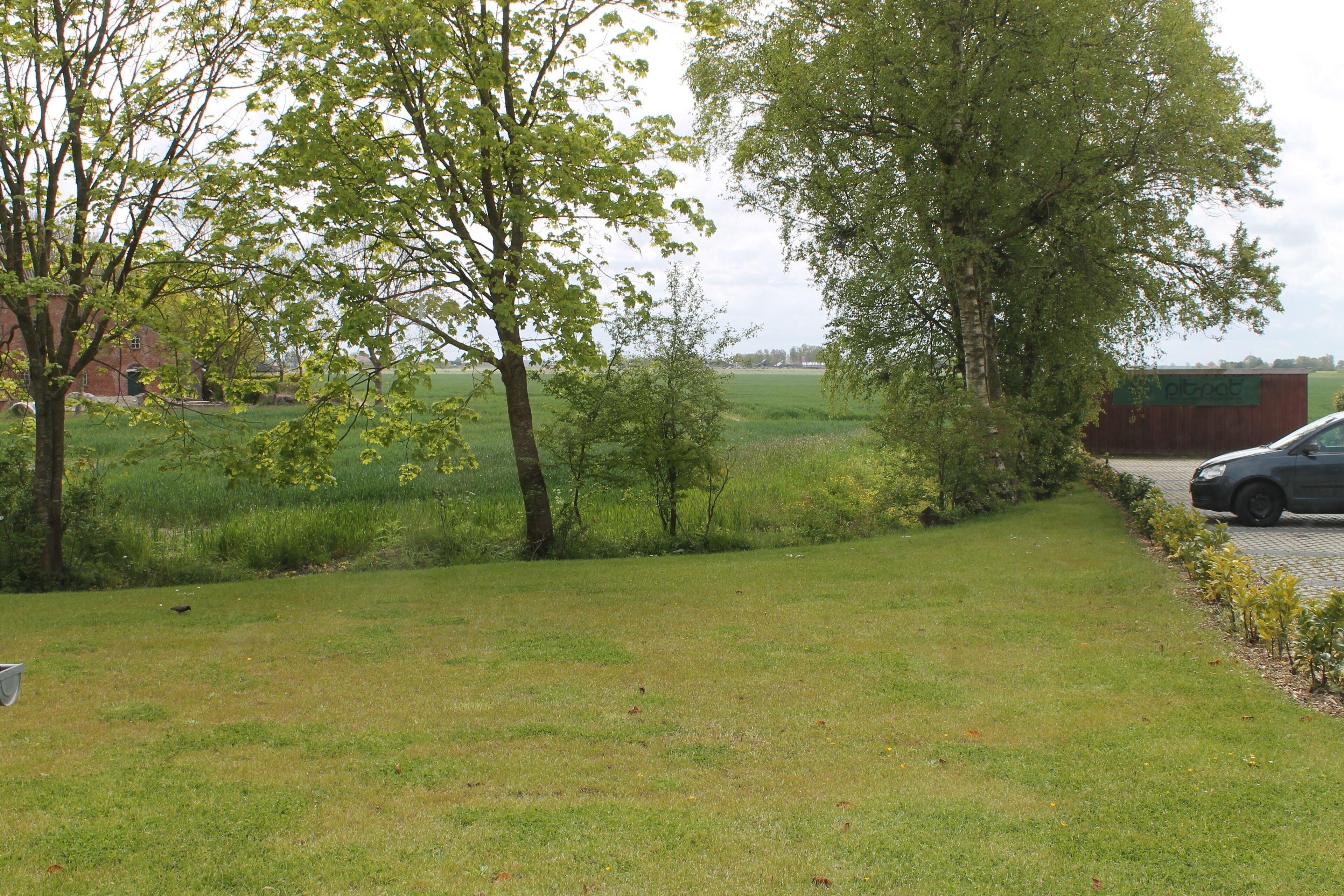 A grassy area with trees and a parked car.
