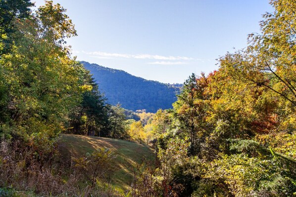 Miscellaneous - Front-Row Smoky Mountain Views - Chef`s Kitchen (Sevierville)