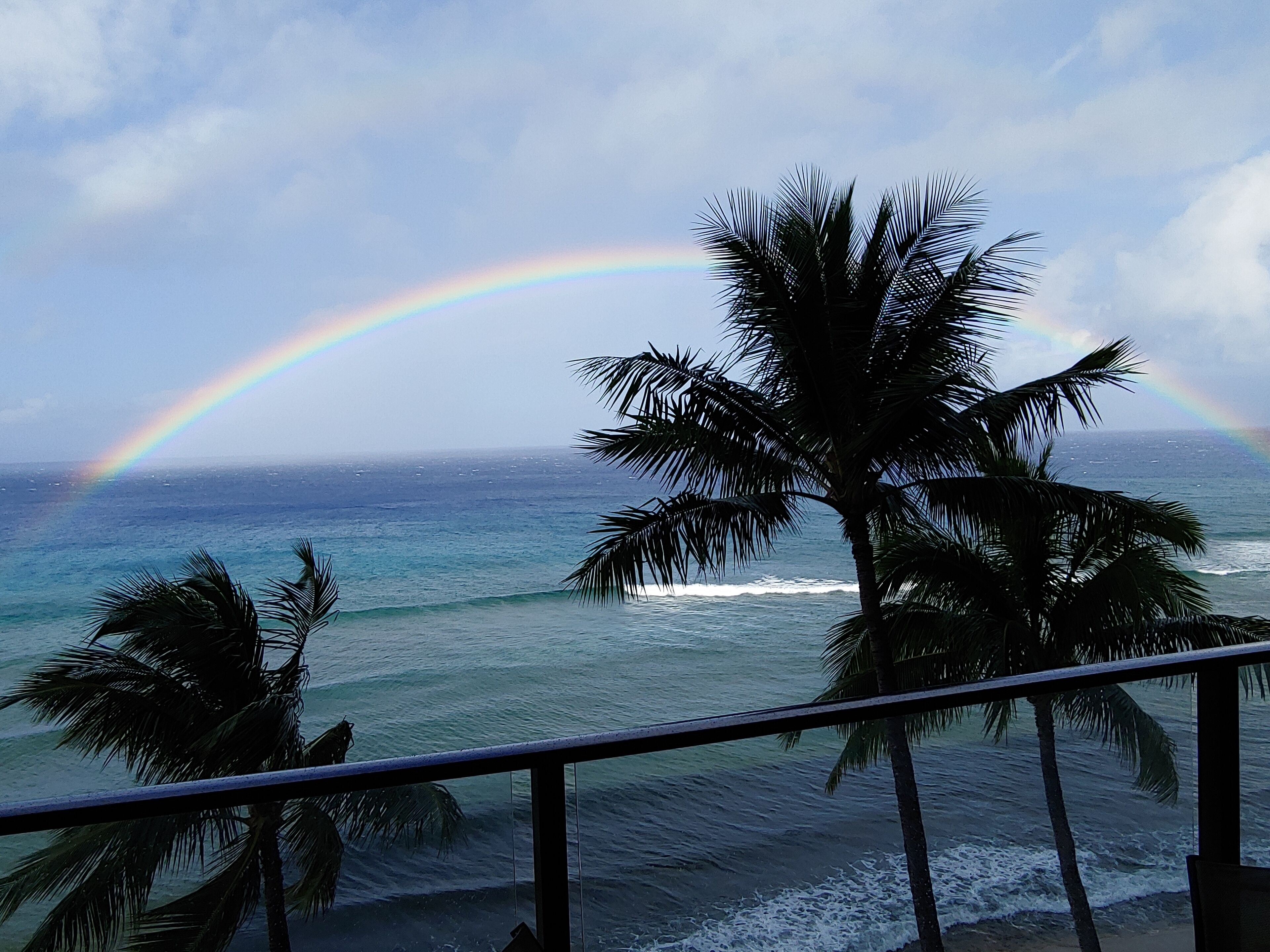 Ein Strand mit Palmen und einem Regenbogen über dem Meer.