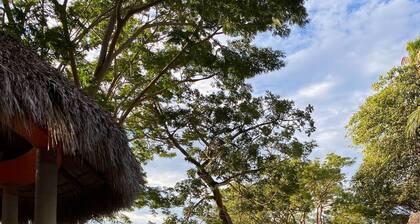 Casa Almendra - Perfect vacation paradise