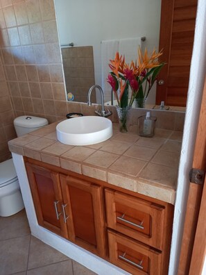 Hair dryer, towels, soap, shampoo - Casa Almendra - Perfect vacation paradise (Chacala)