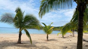 Ein Sandstrand mit Palmen und ruhiger See.