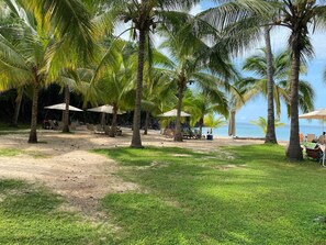 A beach with palm trees, umbrellas, and beach chairs. - Casa Almendra - Perfect vacation paradise (Chacala)