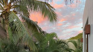 Ein Balkon mit Blick auf üppige, grüne Palmen und einen Sonnenuntergangshimmel.
