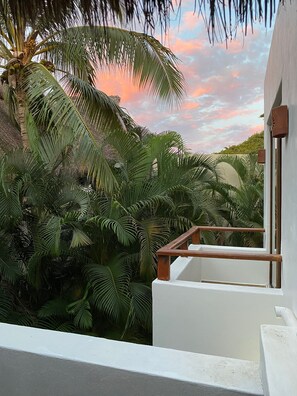 Property grounds - Casa Almendra - Perfect vacation paradise (Chacala)