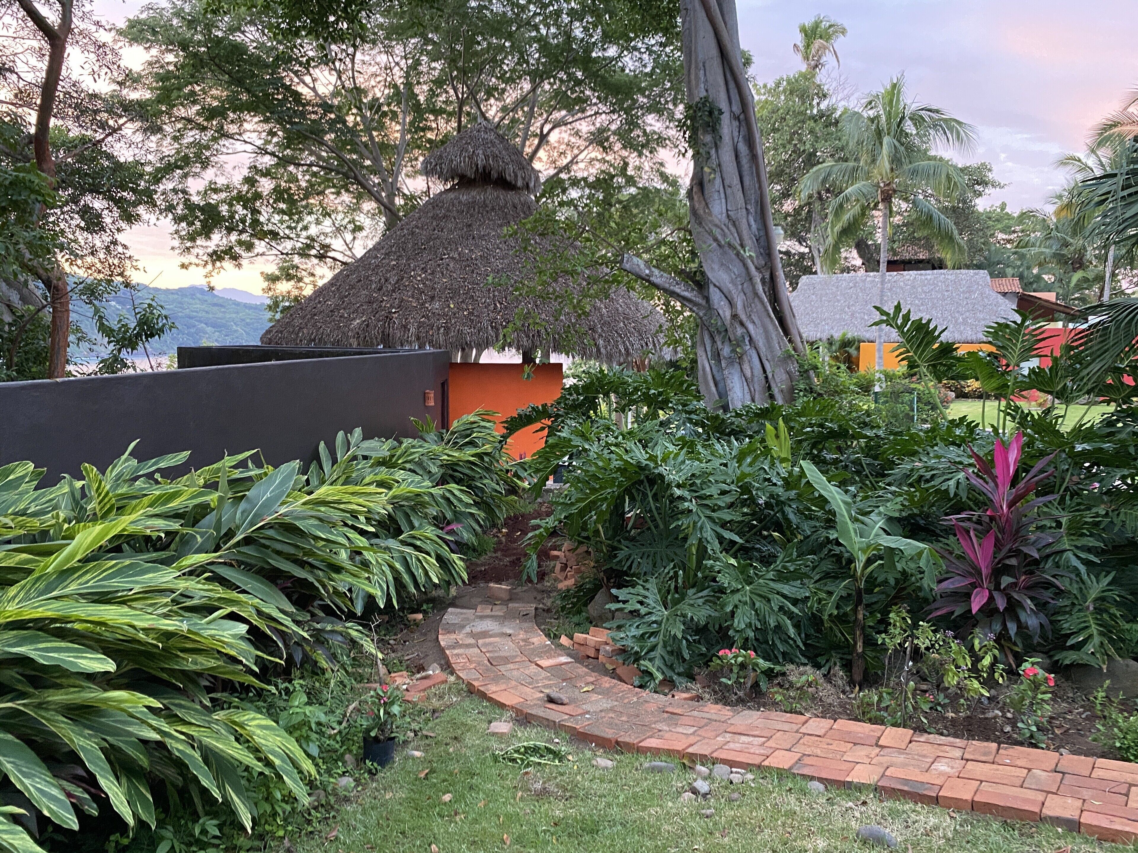 A garden pathway leading to a thatched-roof structure, surrounded by lush tropical plants and a brick border.