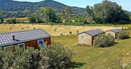 Countryside, 1 km from the beach