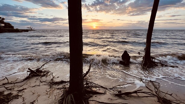 Eine Strandansicht mit Wellen, einem Sonnenuntergang und Palmen.