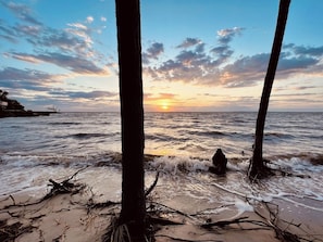 A beach scene with trees and the ocean at sunset. - Waterfront Retreat with Private Dock on the Sound (Kill Devil Hills)
