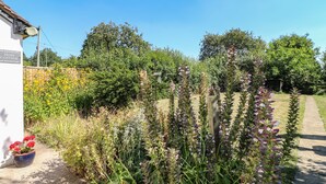 A garden with various plants and a sign for Hops Cottage. - Hops Cottage (Ashbourne)