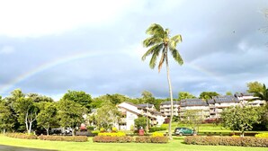 A residential area with a row of houses featuring solar panels on the roofs, surrounded by lush greenery and a palm tree. - Banyan Harbor - Your home away from home! (Lihue)
