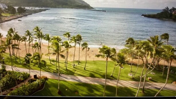 A coastal landscape with a beach, palm trees, and a mountain in the background. - Banyan Harbor - Your home away from home! (Lihue)