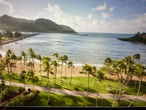 A coastal landscape with a beach, palm trees, and a mountain in the background. - Banyan Harbor - Your home away from home! (Lihue)