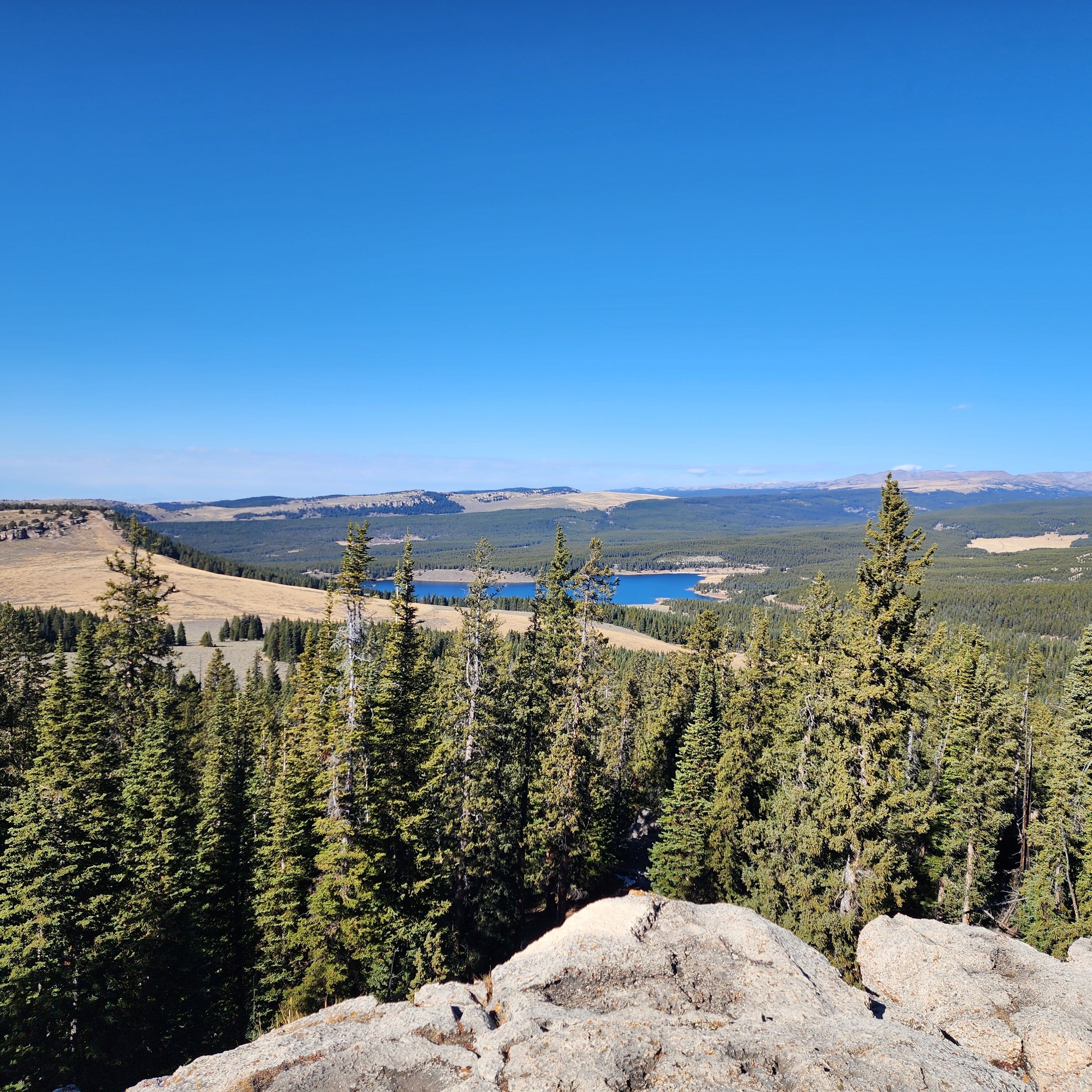 A mountainous landscape with dense coniferous forest, a clear blue sky, and a distant lake.