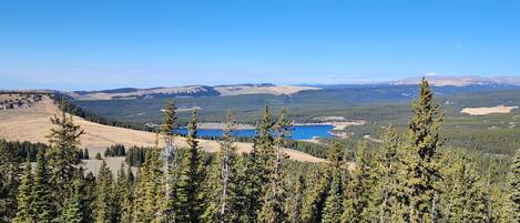 A mountainous landscape with dense coniferous forest, a clear blue sky, and a distant lake.
