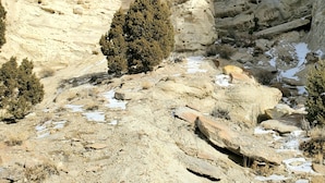A natural rock formation with a prominent vertical pillar and a smaller overhang. - The Carter inn (Ten Sleep)