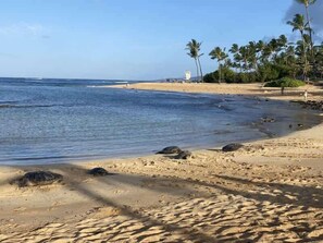 Beach nearby, sun-loungers, beach towels