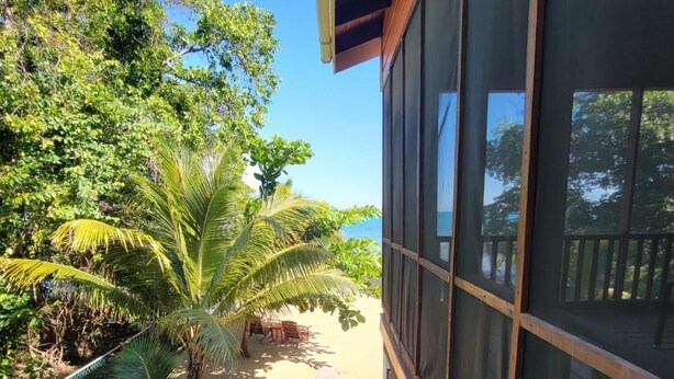 Une terrasse en bois mène à une plage de sable bordée de palmiers, d’où l’on a une vue dégagée sur l’océan.