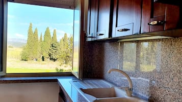Fridge, microwave, stovetop