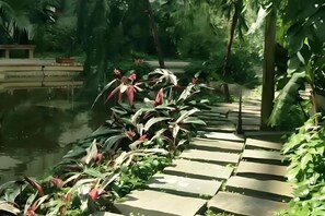Caminho de pedra que leva a um lago rodeado por vegetação exuberante.