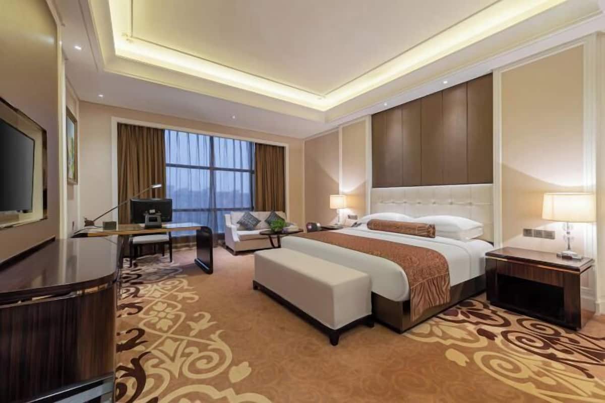 Quarto de hotel com uma cama grande, uma escrivaninha, uma televisão e vista para a cidade.