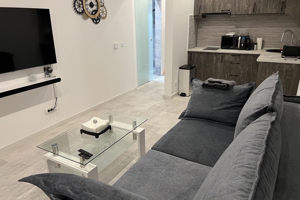 Habitación individual panorámica | Zona de estar | Una Smart TV, una consola de videojuegos, Netflix, películas de estreno