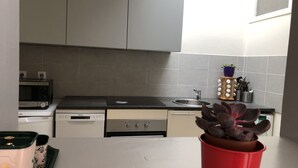 A kitchen with grey cabinets, a microwave, a stove, a sink, and a potted plant. - Charming apartment, Left bank (Rouen)