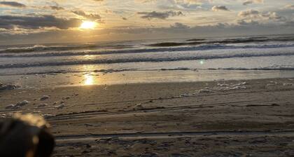 Perfect Beach House; Majestic Ocean Views, less than 100 steps to beach